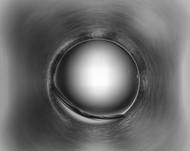 X0000094080728200710261306