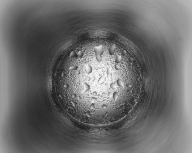 X0000094080729200710261306