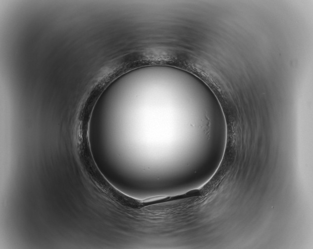 X0000094080731200710261306