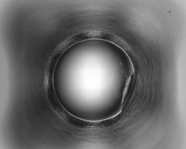 X0000094080732200710261306