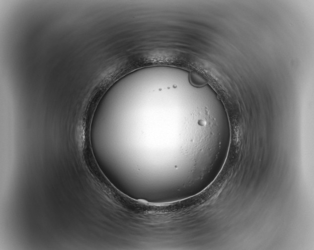 X0000094080733200710261306