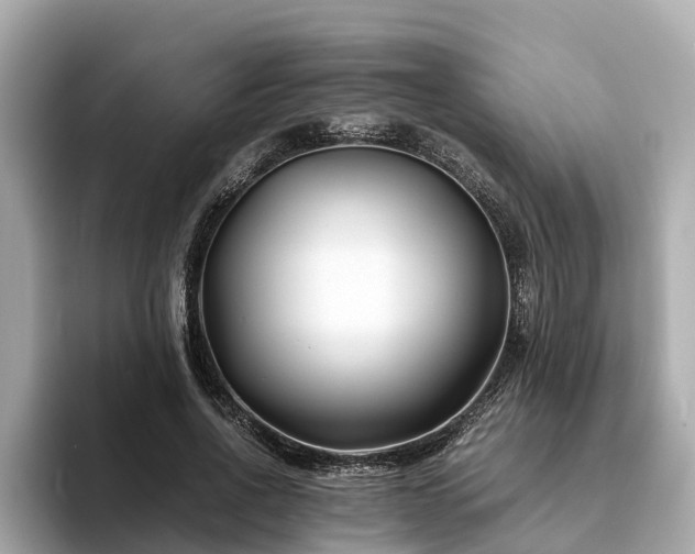 X0000094080734200710261307