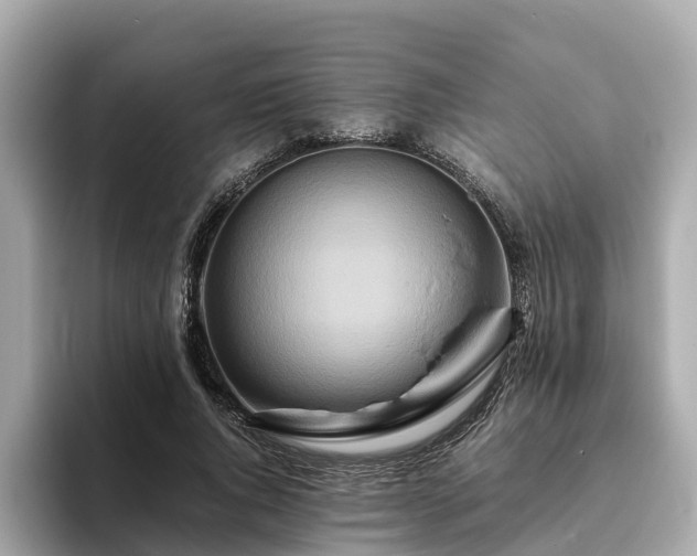 X0000094080736200710261307