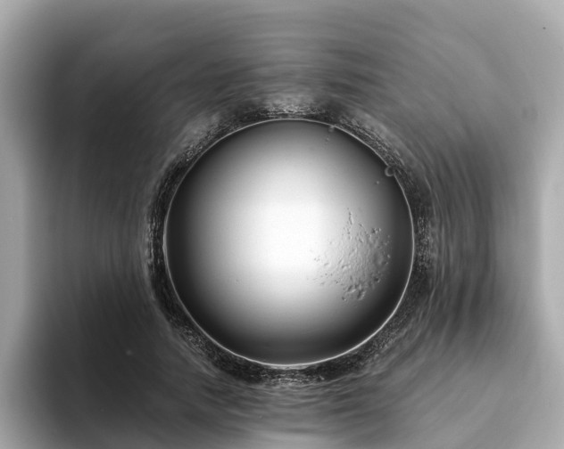 X0000094080738200710261307