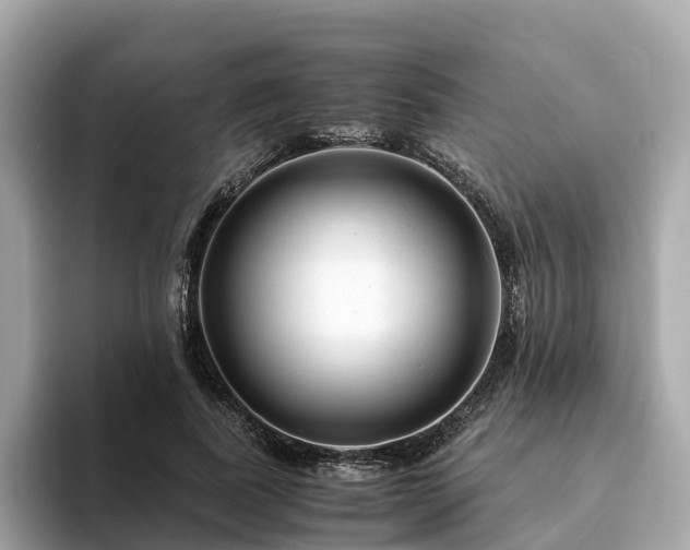 X0000094080739200710261307