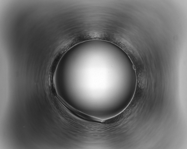 X0000094080740200710261307