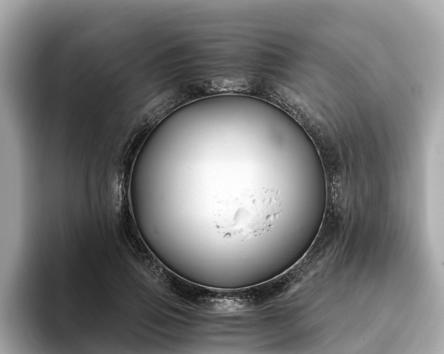 X0000094080741200710261307