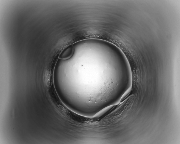 X0000094080742200710261307