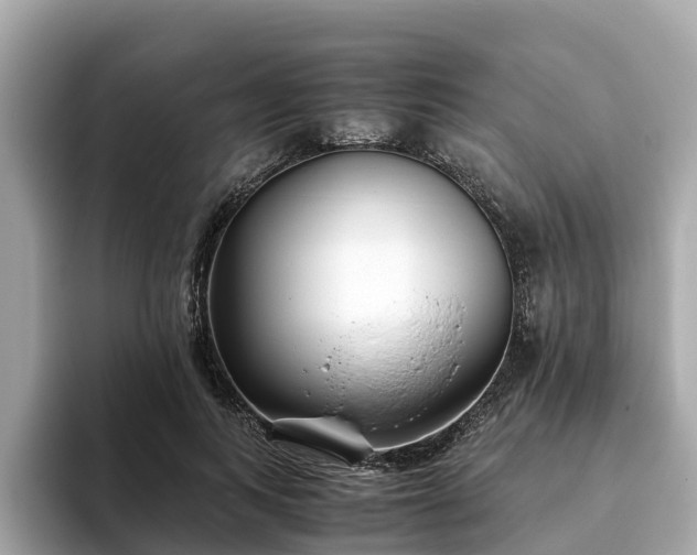 X0000094080743200710261307