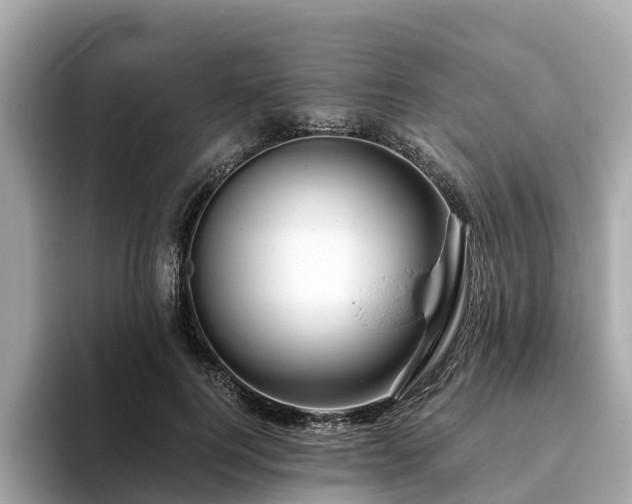 X0000094080744200710261307