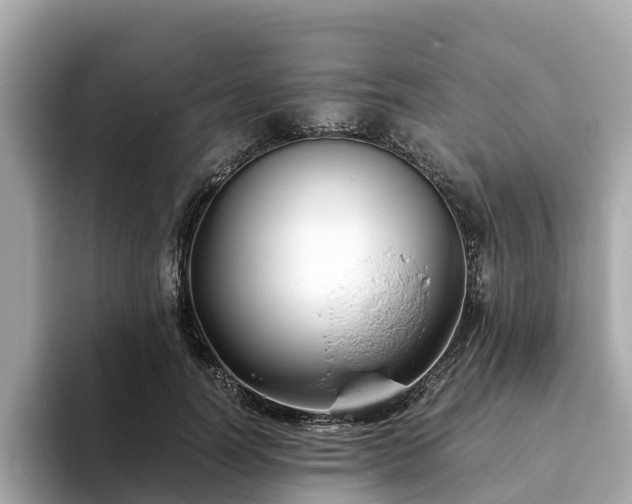 X0000094080746200710261307