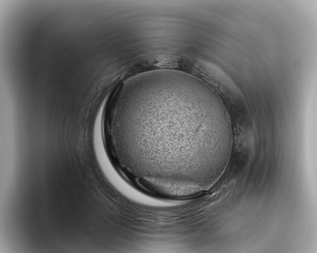 X0000094080748200710261307