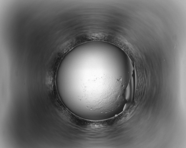 X0000094080749200710261307