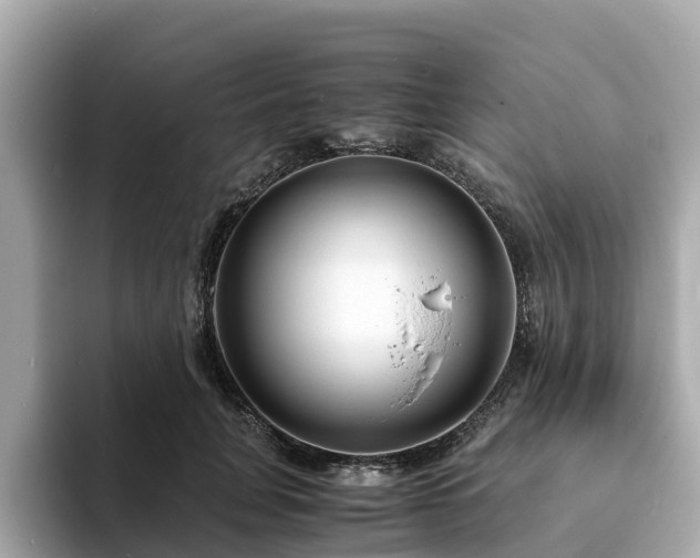 X0000094080751200710261307