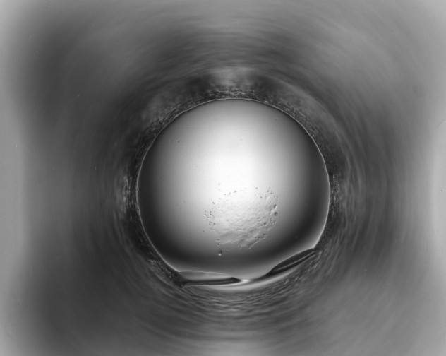 X0000094080752200710261307