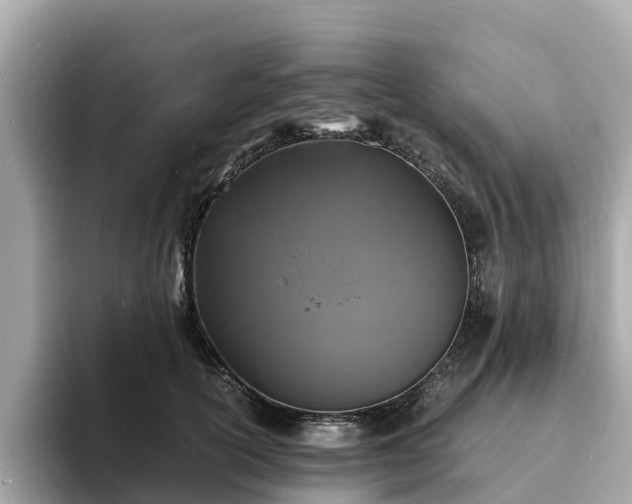 X0000094080754200710261307