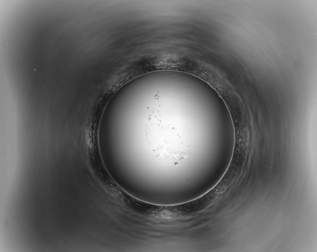 X0000094080755200710261307