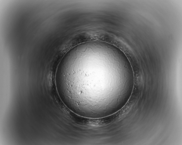 X0000094080757200710261307