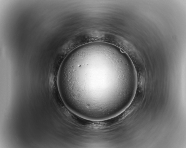 X0000094080758200710261307