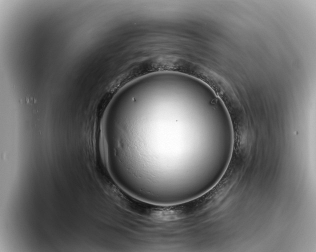 X0000094080759200710261307