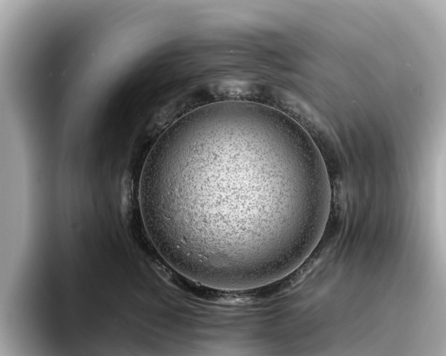 X0000094080760200710261307