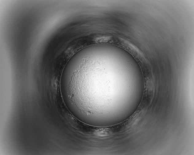 X0000094080761200710261307