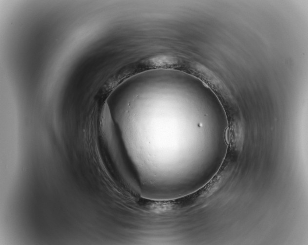 X0000094080762200710261307