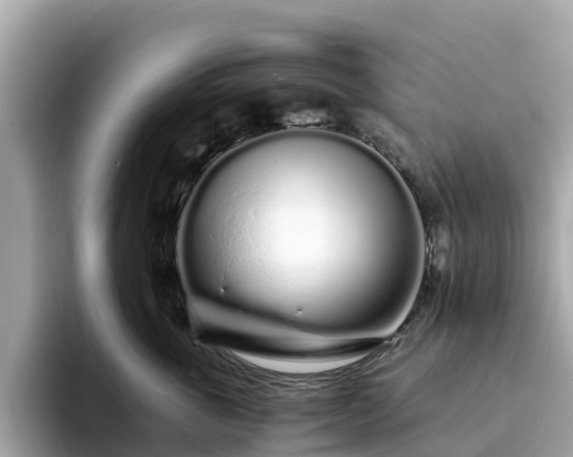 X0000094080763200710261307