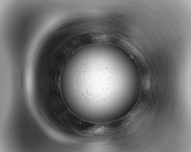 X0000094080764200710261307