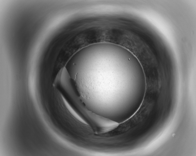 X0000094080766200710261307