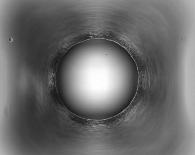 X0000094080770200710261306