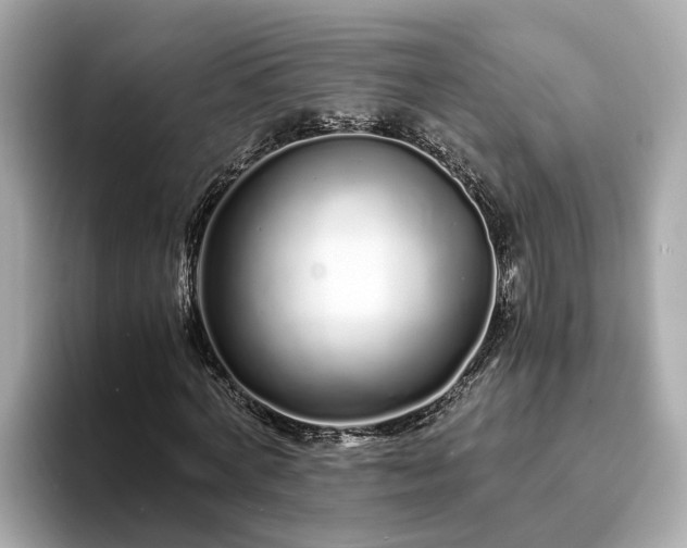 X0000094080772200710261306