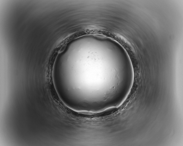 X0000094080775200710261306