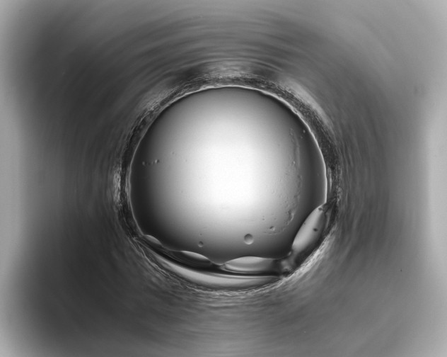 X0000094080777200710261306