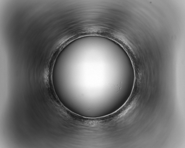 X0000094080778200710261306