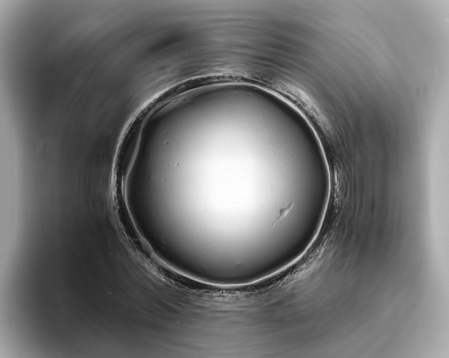 X0000094080780200710261306