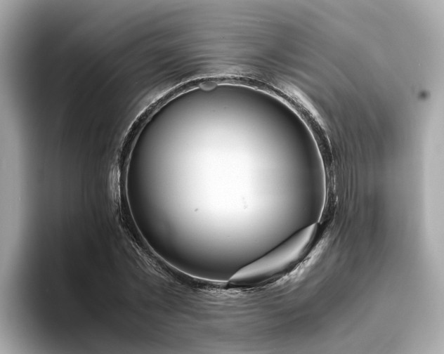 X0000094080781200710261306