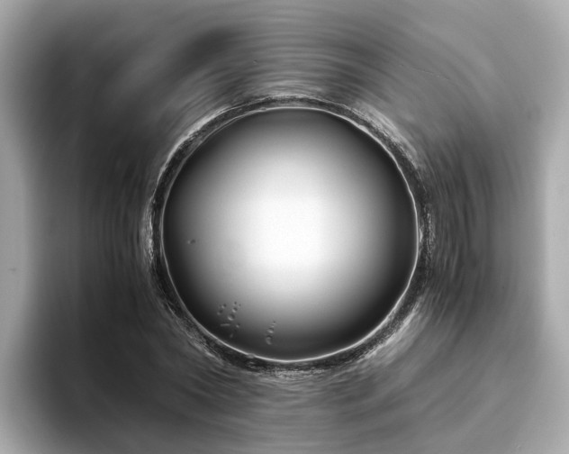 X0000094080782200710261306