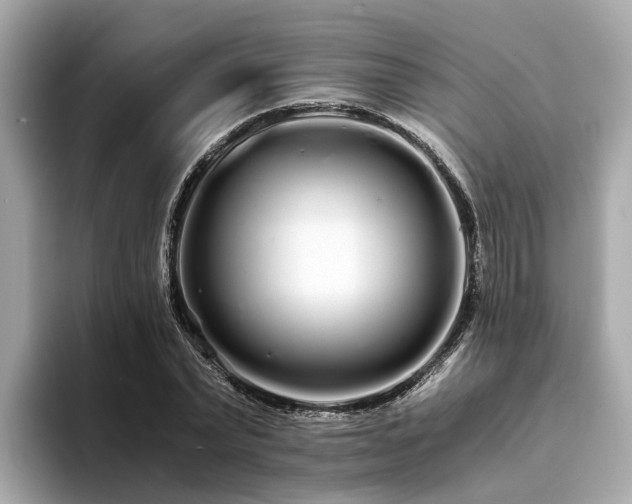 X0000094080783200710261306