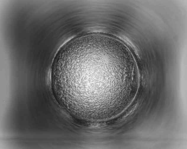 X0000094080790200710261306