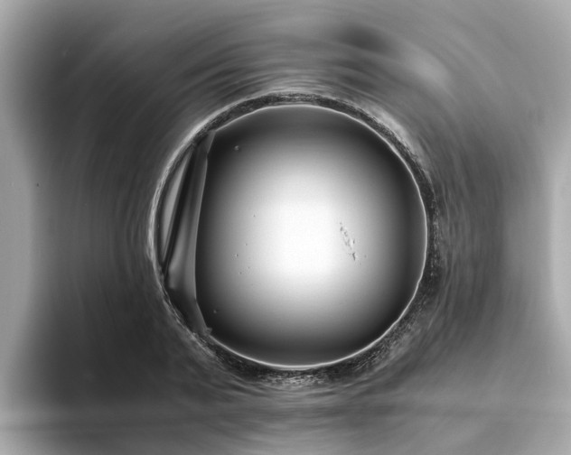 X0000094080791200710261306