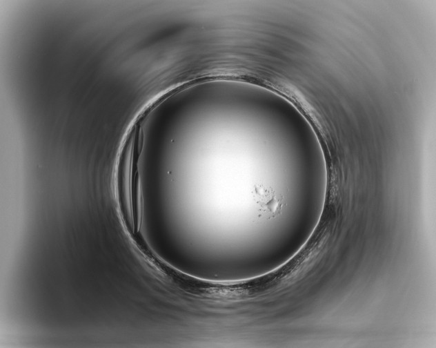 X0000094080795200710261306