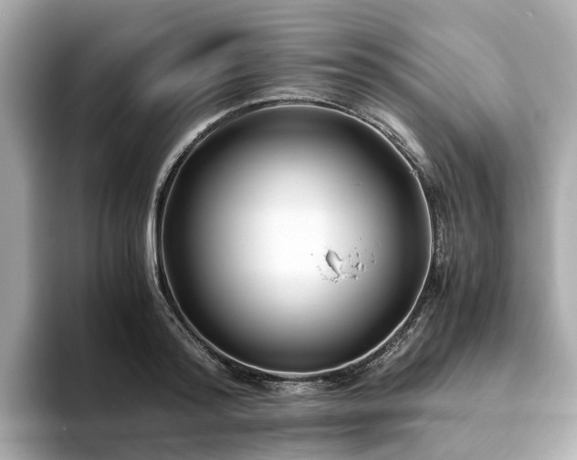 X0000094080796200710261306