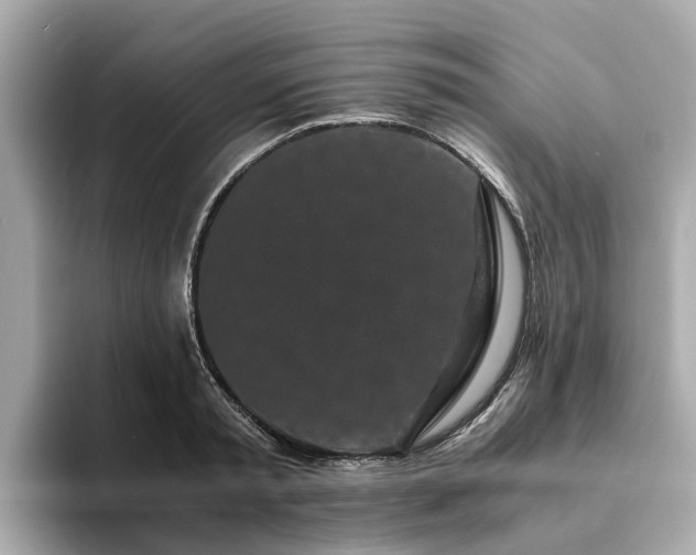 X0000094080797200710261306