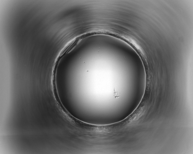 X0000094080799200710261306