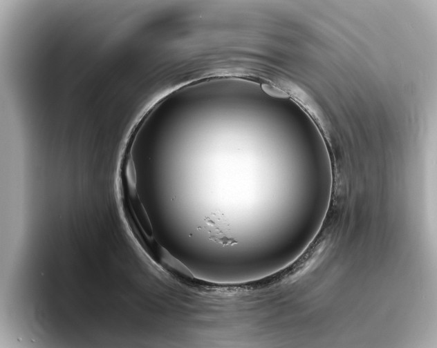 X0000094080803200710261306