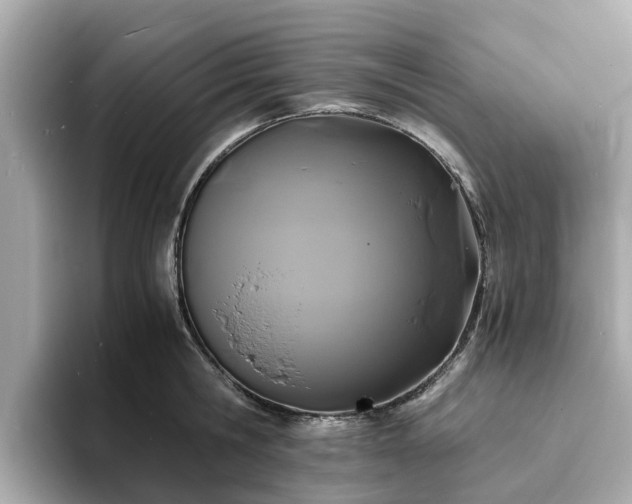 X0000094080806200710261306