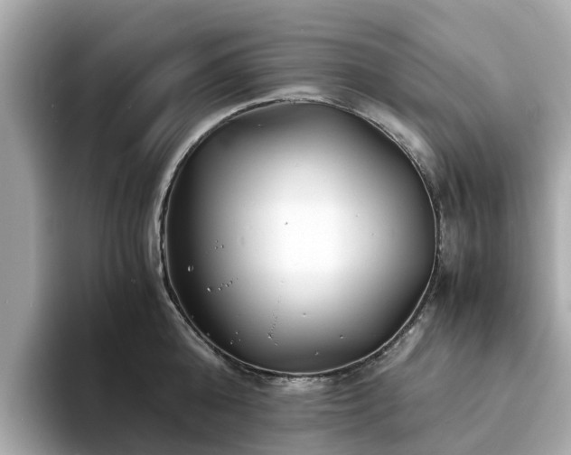 X0000094080808200710261306