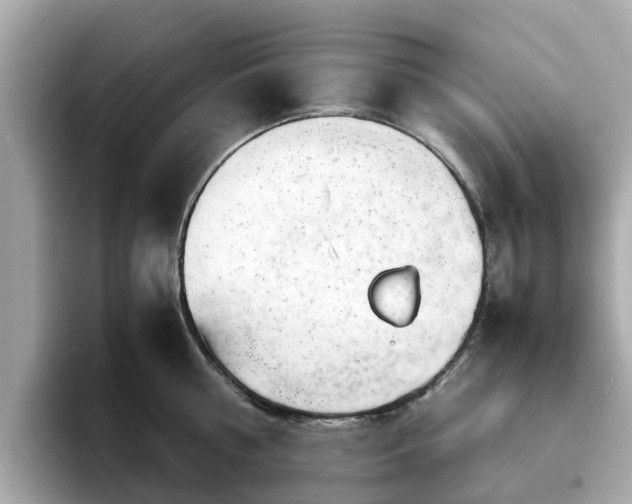 X0000094080810200710261306