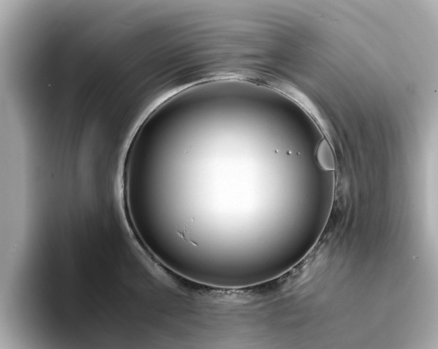 X0000094080811200710261306